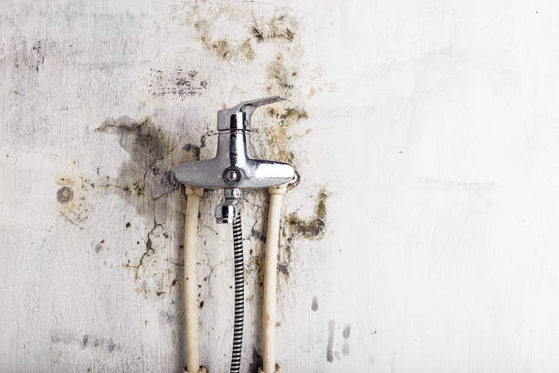 Mold Removal and Inspection in Lake Holiday, IN