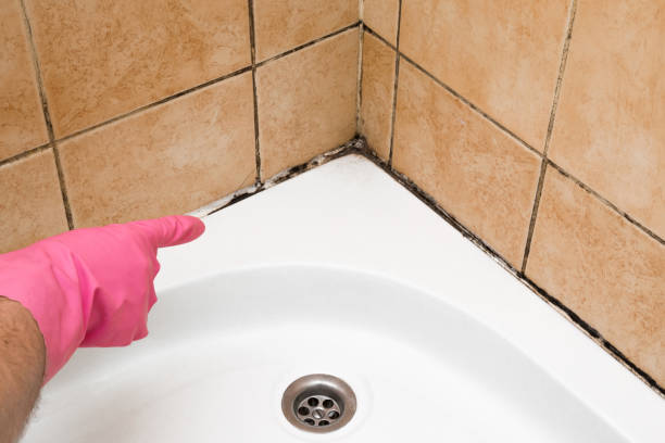 Office Mold Removal Services in Lake Holiday, IN
